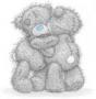 nounours